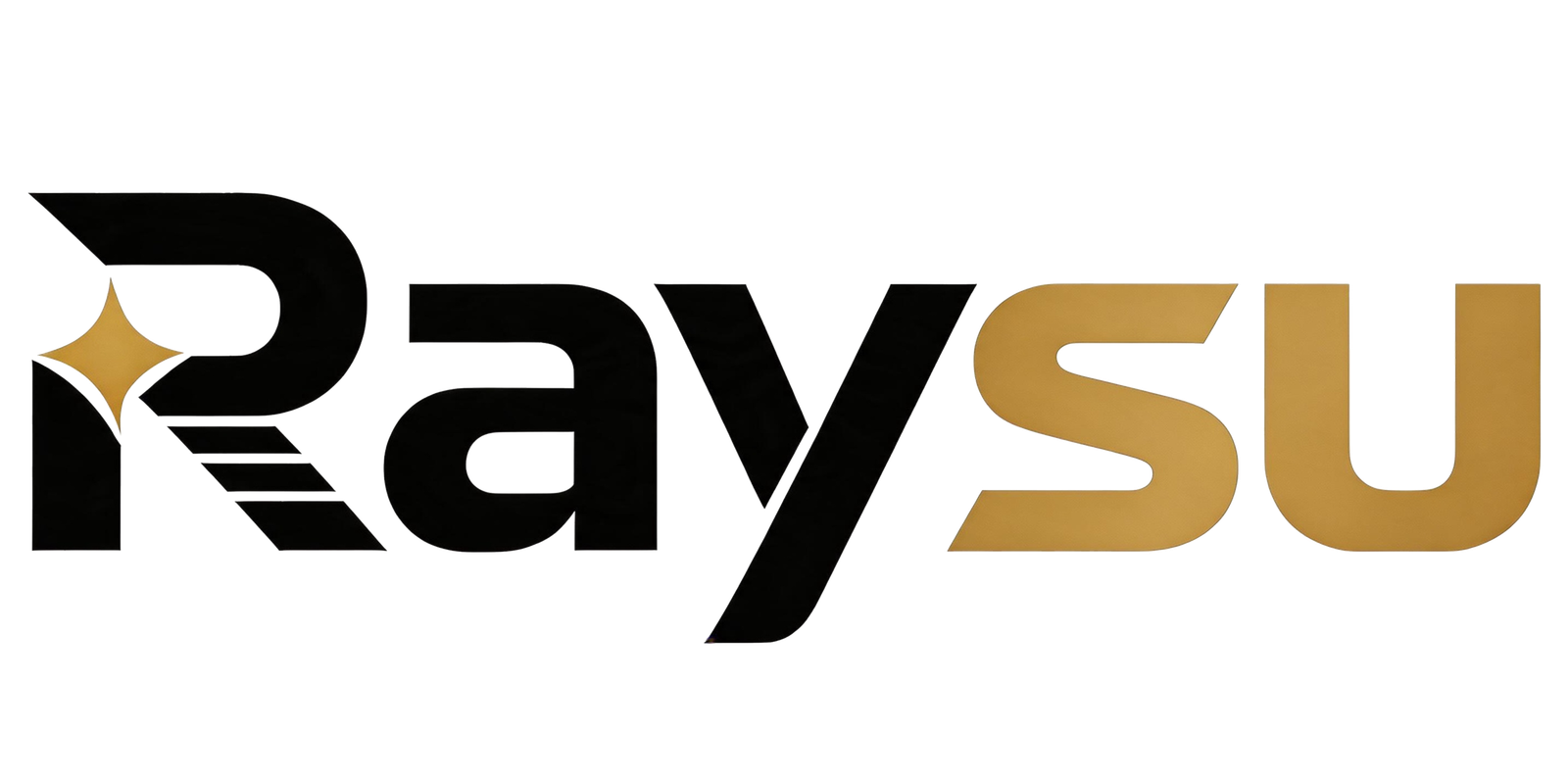 raysutech.com